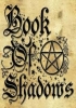 book of shadows,BOS,
 witchcraft spell book,grimoire